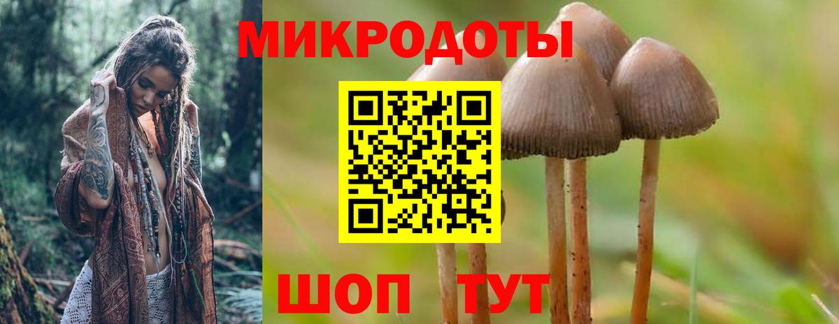 Лесной  Галлюциногенные грибы GOLDEN TEACHER  Вход с VPN 