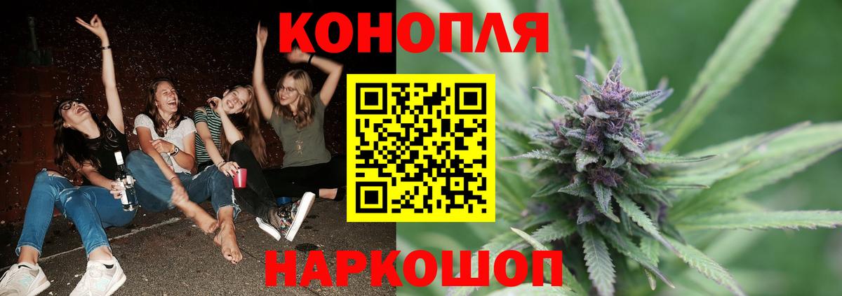 Шишки марихуана AK-47  Каннабис AK-47  Лесной  Вход с VPN  Марихуана семена 